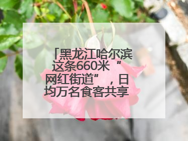 黑龙江哈尔滨这条660米“网红街道”，日均万名食客共享“平安滋味”