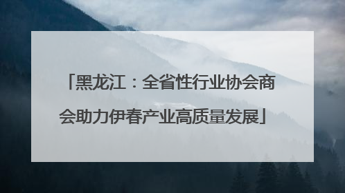 黑龙江：全省性行业协会商会助力伊春产业高质量发展