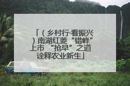 （乡村行·看振兴）南湖红菱“错峰”上市 “抢早”之道诠释农业新生