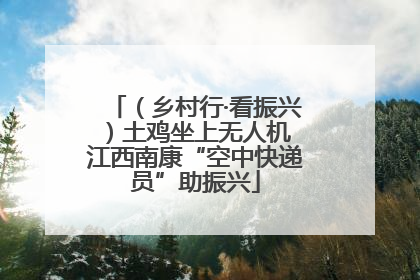 （乡村行·看振兴）土鸡坐上无人机 江西南康“空中快递员”助振兴