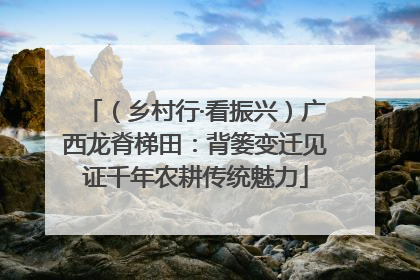 （乡村行·看振兴）广西龙脊梯田：背篓变迁见证千年农耕传统魅力
