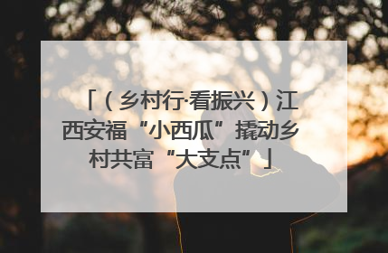 （乡村行·看振兴）江西安福“小西瓜”撬动乡村共富“大支点”