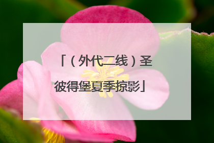 （外代二线）圣彼得堡夏季掠影