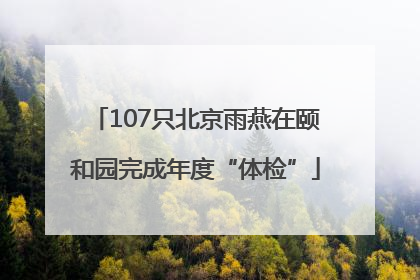 107只北京雨燕在颐和园完成年度“体检”