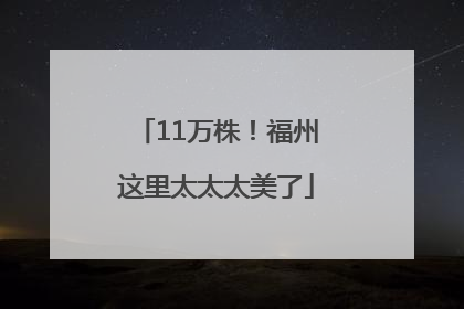 11万株！福州这里太太太美了