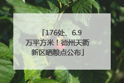 176处、6.9万平方米！德州天衢新区晒粮点公布