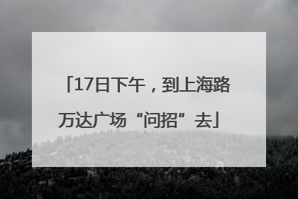 17日下午，到上海路万达广场“问招”去