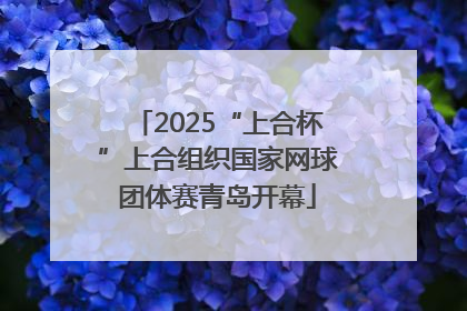 2025“上合杯”上合组织国家网球团体赛青岛开幕
