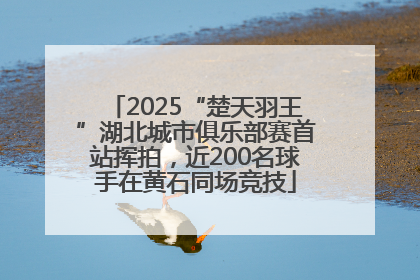 2025“楚天羽王”湖北城市俱乐部赛首站挥拍，近200名球手在黄石同场竞技