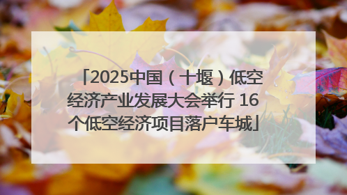 2025中国（十堰）低空经济产业发展大会举行 16个低空经济项目落户车城