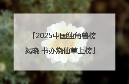 2025中国独角兽榜揭晓 书亦烧仙草上榜