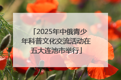 2025年中俄青少年科普文化交流活动在五大连池市举行