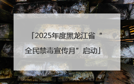 2025年度黑龙江省“全民禁毒宣传月”启动