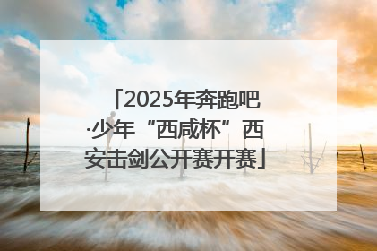 2025年奔跑吧·少年“西咸杯”西安击剑公开赛开赛