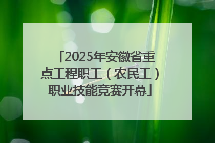 2025年安徽省重点工程职工（农民工）职业技能竞赛开幕