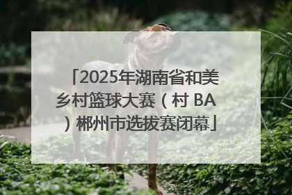 2025年湖南省和美乡村篮球大赛（村 BA）郴州市选拔赛闭幕