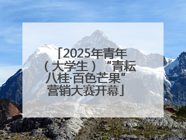 2025年青年（大学生）“青耘八桂·百色芒果”营销大赛开幕