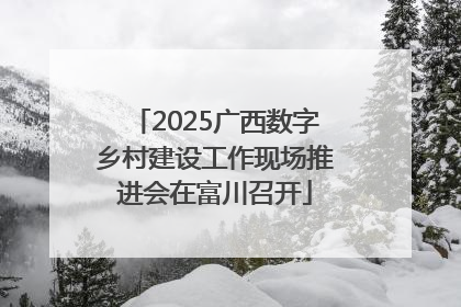 2025广西数字乡村建设工作现场推进会在富川召开