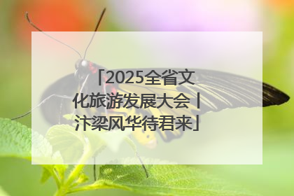 2025全省文化旅游发展大会丨汴梁风华待君来