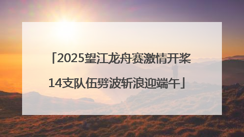 2025望江龙舟赛激情开桨 14支队伍劈波斩浪迎端午