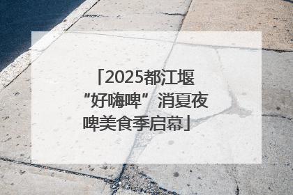 2025都江堰“好嗨啤”消夏夜啤美食季启幕