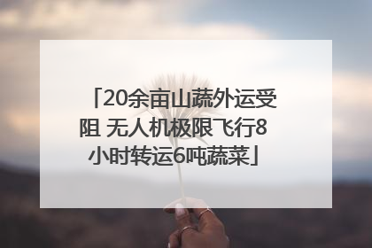 20余亩山蔬外运受阻 无人机极限飞行8小时转运6吨蔬菜