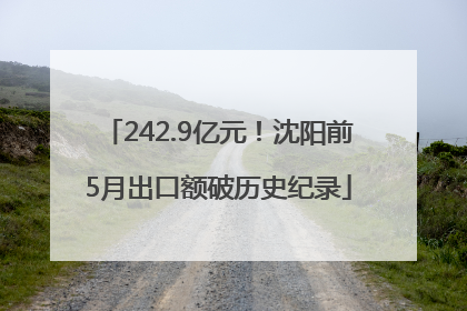 242.9亿元！沈阳前5月出口额破历史纪录