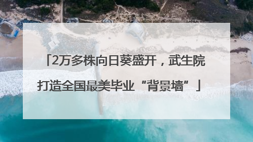 2万多株向日葵盛开，武生院打造全国最美毕业“背景墙”