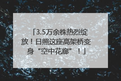 3.5万余株热烈绽放！日照这座高架桥变身“空中花廊”！
