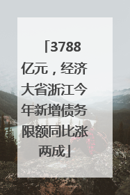 3788亿元，经济大省浙江今年新增债务限额同比涨两成