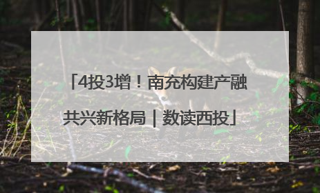4投3增！南充构建产融共兴新格局｜数读西投