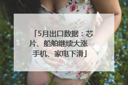 5月出口数据：芯片、船舶继续大涨 手机、家电下滑