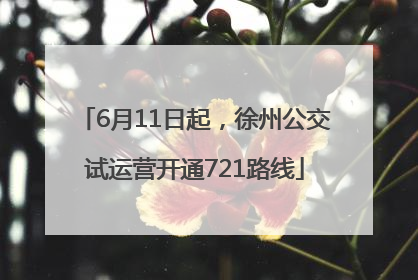 6月11日起，徐州公交试运营开通721路线