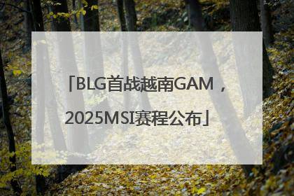 BLG首战越南GAM，2025MSI赛程公布