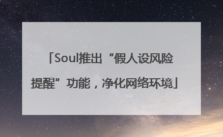 Soul推出“假人设风险提醒”功能，净化网络环境